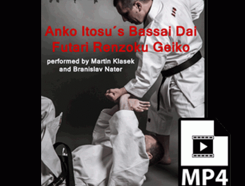 Bassai Dai-complet bunkai-mp4-DVD