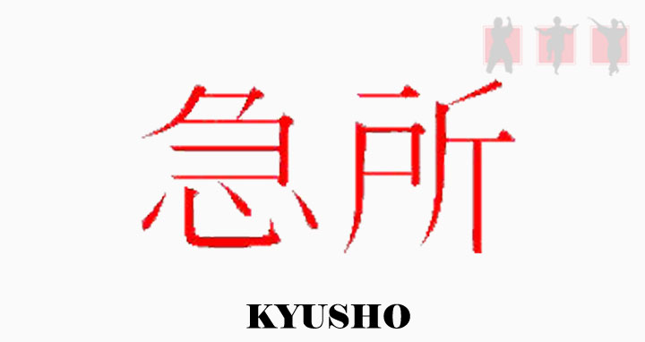 Kyusho jutsu