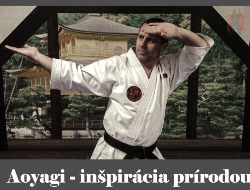 obrázok - karate kata Aoyagi