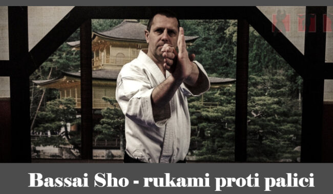 obrázok- karate kata Bassai Sho