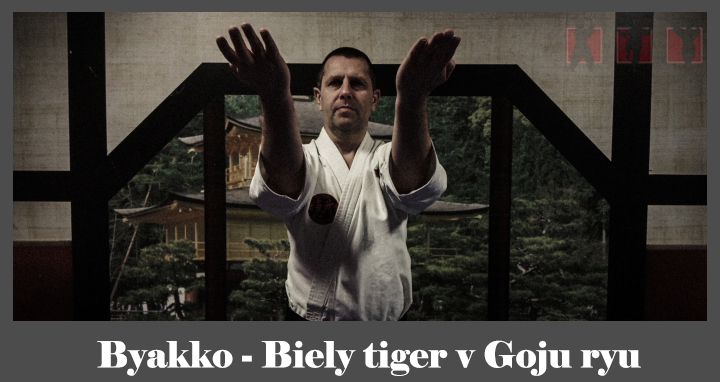 obrázok- karate kata Byakko