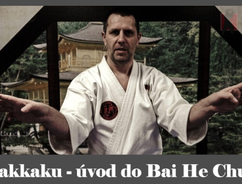 obrázok- karate kata Hakkaku