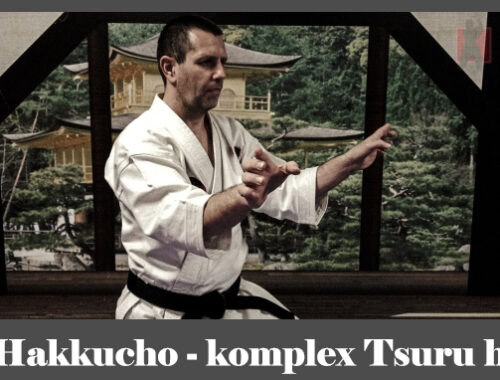 obrázok- karate kata Hakkucho