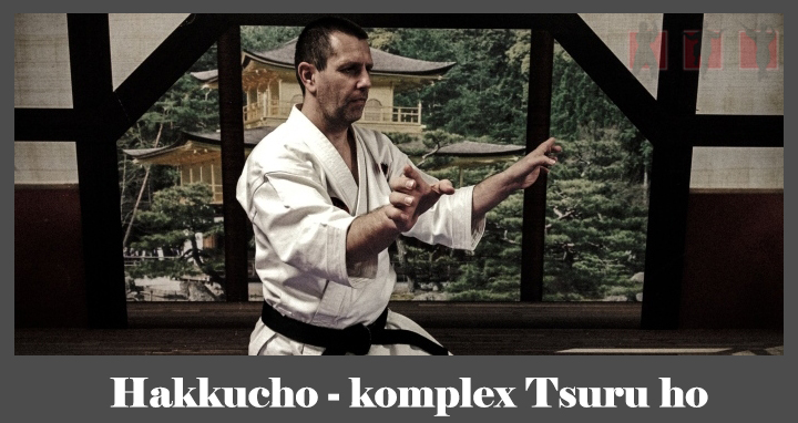 obrázok- karate kata Hakkucho