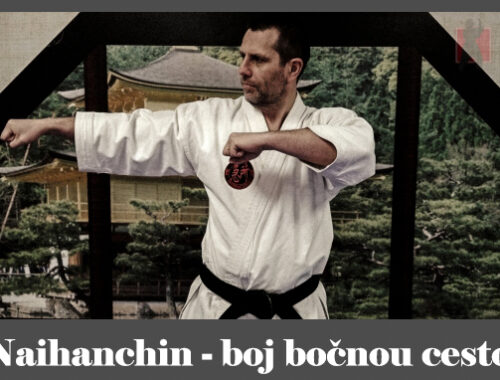 obrázok- karate kata Naihanchin