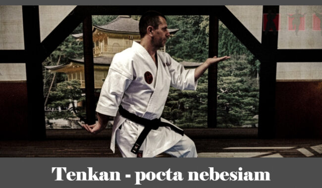 obrázok- karate kata Tenkan