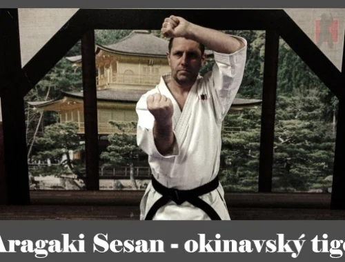 obrázok- karate kata Aragaki Sesan
