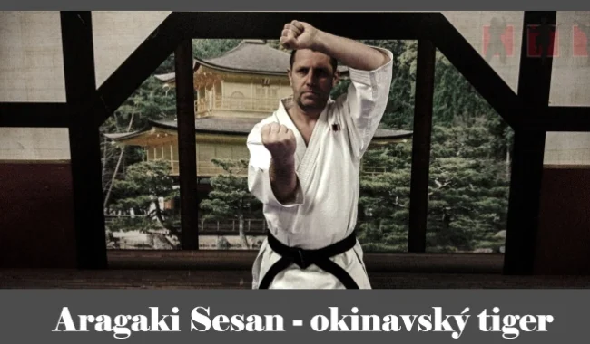 obrázok- karate kata Aragaki Sesan