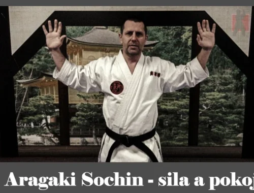 obrázok- karate kata Aragaki Sochin