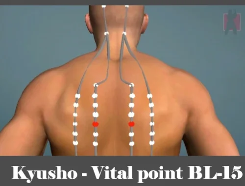 obrázok - Kyusho - poloha vitálneho (akupunktúrneho) bodu BL-15