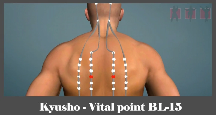 obrázok - Kyusho - poloha vitálneho (akupunktúrneho) bodu BL-15