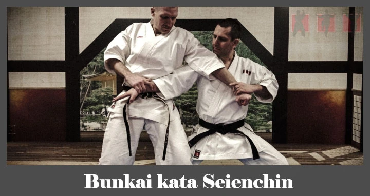 obrázok - Bunkai karate kata Seienchin