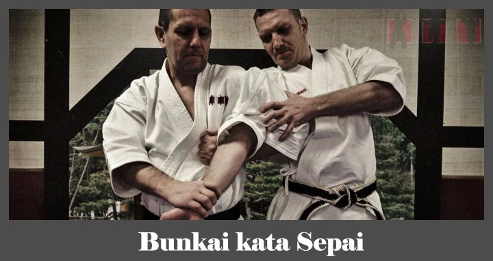 obrázok - Bunkai karate kata Sepai