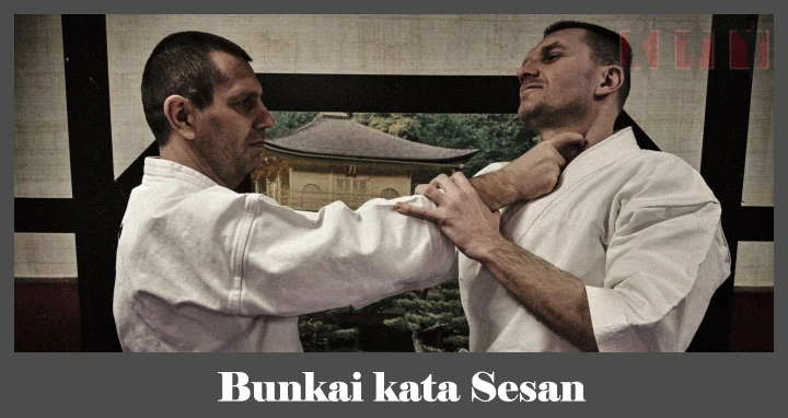 obrázok - Bunkai karate kata Sesan