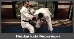 obrázok - Bunkai karate kata Suparinpei