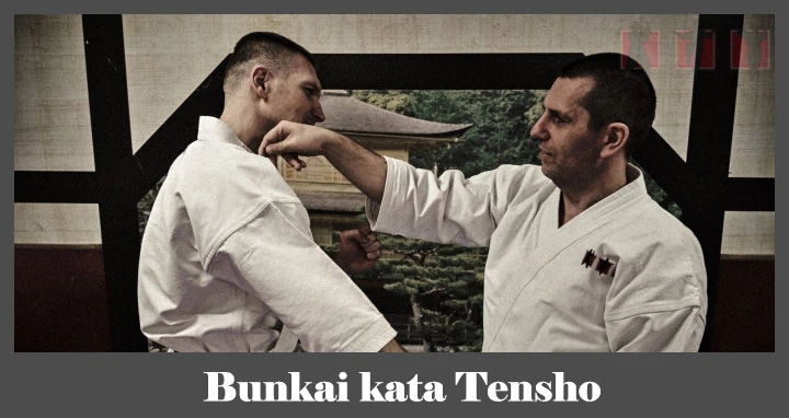obrázok - Bunkai karate kata Tensho