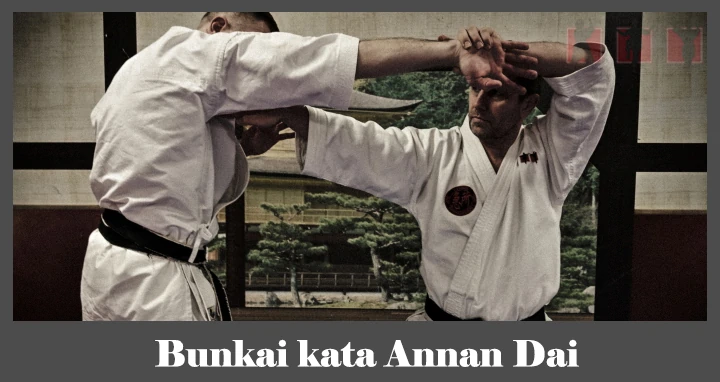 obrázok - Bunkai karate kata Annan Dai
