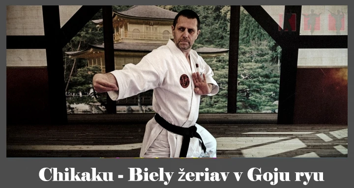 obrázok- karate kata Chikaku z Goju ryu