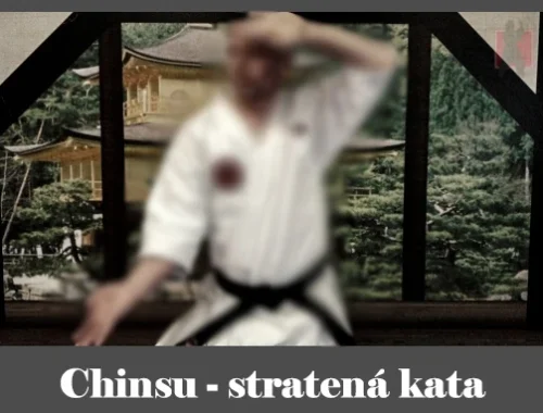 obrázok- karate kata Chinsu