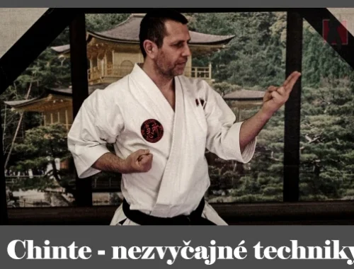 obrázok- karate kata Chinte