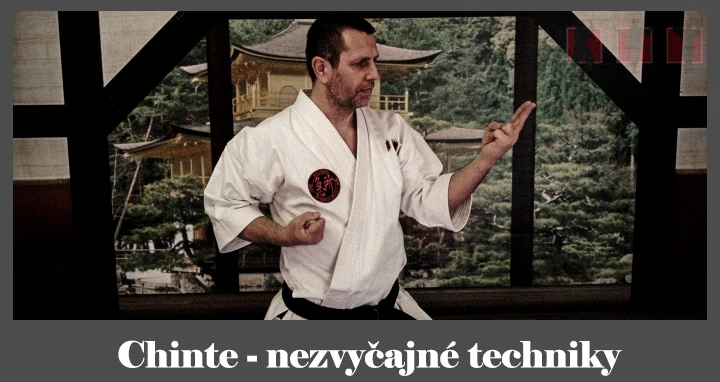 obrázok- karate kata Chinte