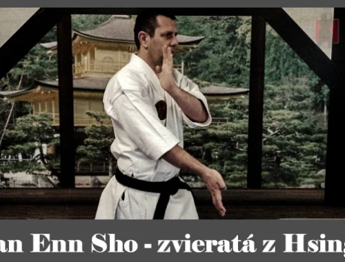 obrázok- karate kata Dan Enn Sho