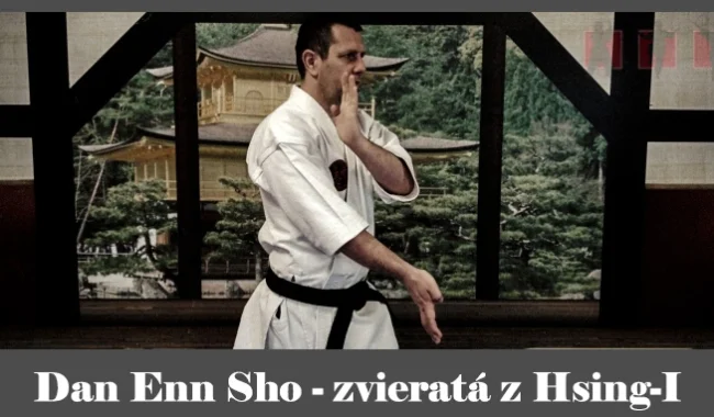 obrázok- karate kata Dan Enn Sho