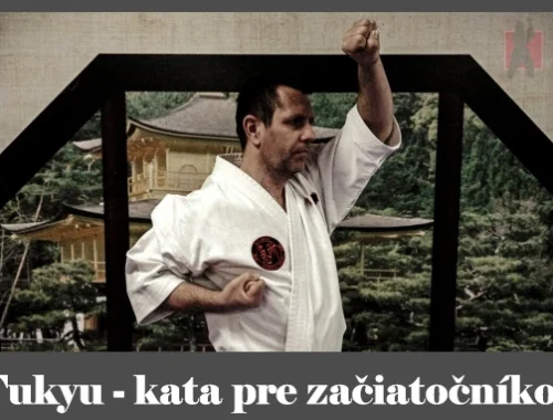 obrázok- karate kata Fukyu