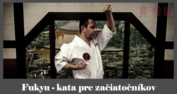 obrázok- karate kata Fukyu