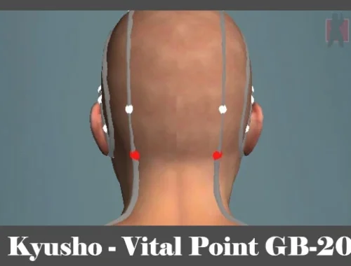 obrázok - Kyusho - poloha vitálneho (akupunktúrneho) bodu GB-20