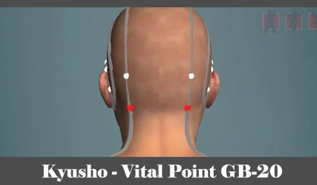 obrázok - Kyusho - poloha vitálneho (akupunktúrneho) bodu GB-20