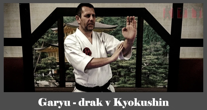 obrázok- karate kata Garyu