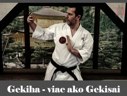 obrázok- karate kata Gekiha