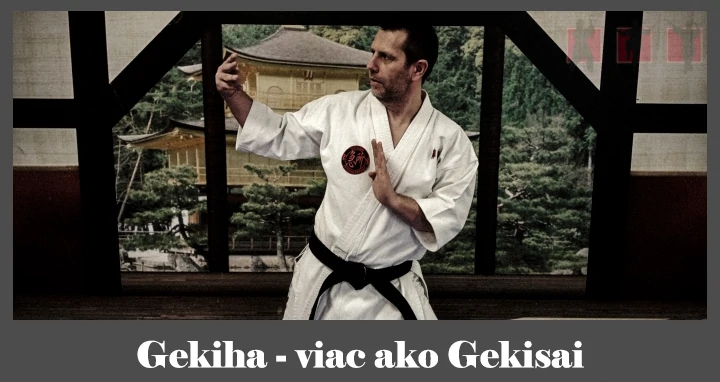 obrázok- karate kata Gekiha