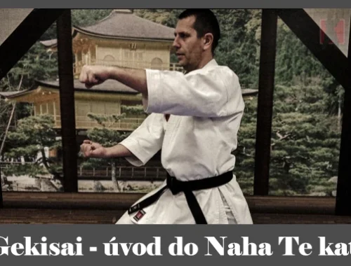 obrázok- karate kata Gekisai