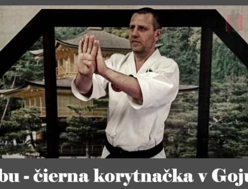 obrázok- karate kata Genbu