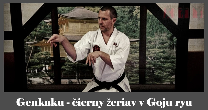 obrázok- karate kata Genkaku