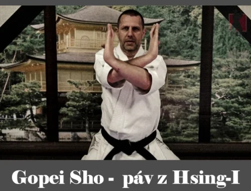 obrázok- karate kata Gopei Sho