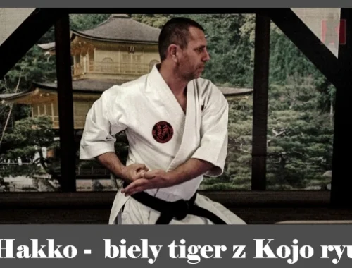 obrázok- karate kata Hakko