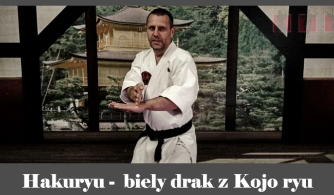 obrázok- karate kata Hakuryu