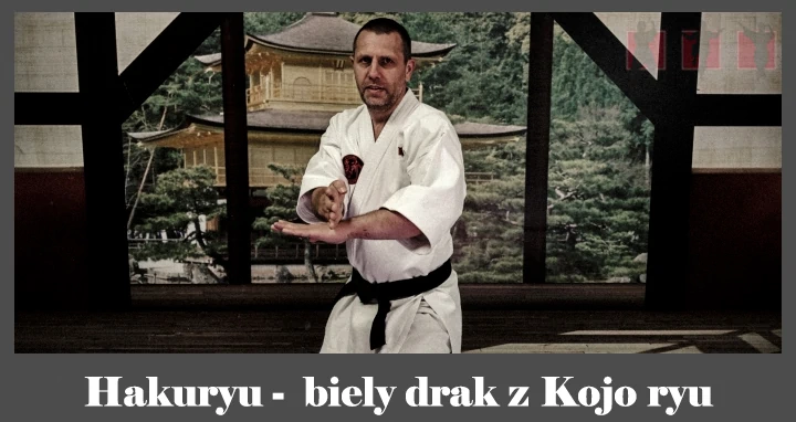 obrázok- karate kata Hakuryu
