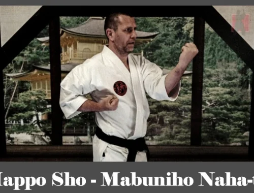 obrázok- karate kata Happo Sho