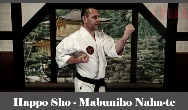 obrázok- karate kata Happo Sho