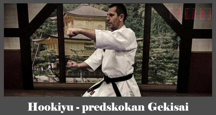 obrázok- karate kata Hookiyu