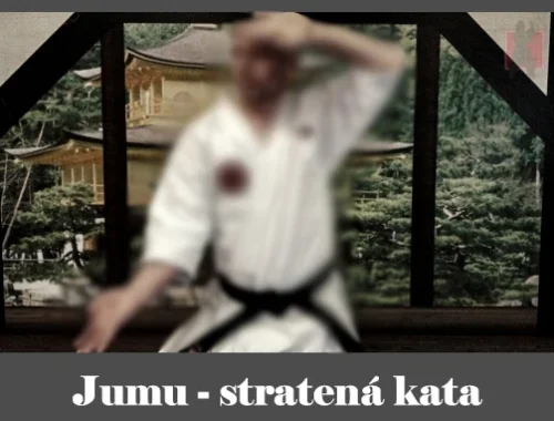 obrázok- karate kata Jumu