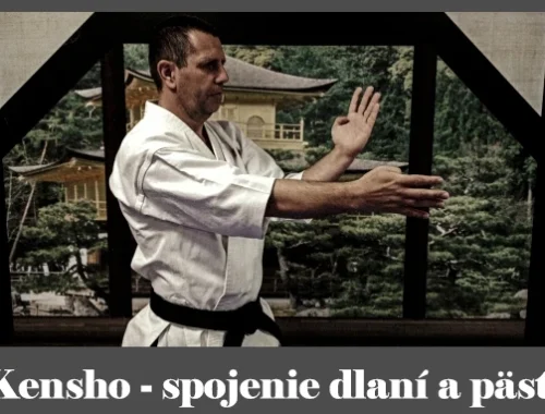 obrázok- karate kata Kensho
