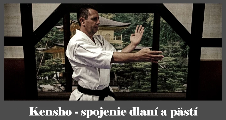 obrázok- karate kata Kensho
