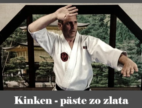 obrázok- karate kata Kinken