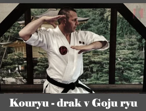 obrázok- karate kata Kouryu