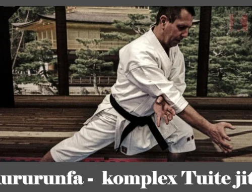 obrázok- karate kata Kururunfa